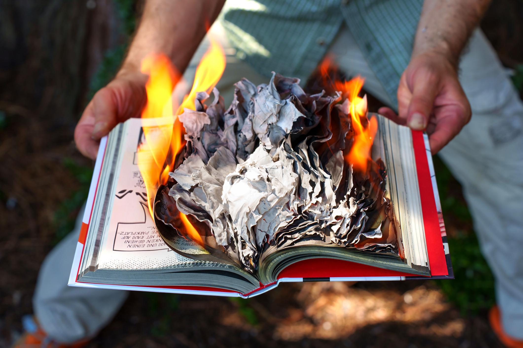 Bushfire Topic 1 - Bushfire Guidance Handbooks – How They Support Better Outcomes
