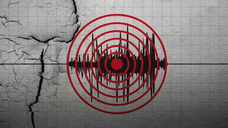 What building surveyors must know about seismic design